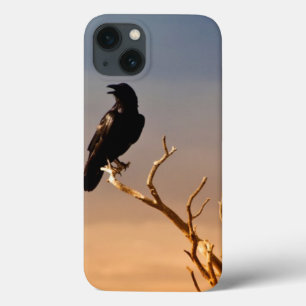 Raven on Sunlit Tree Branches, Grand Canyon iPhone 13 Case