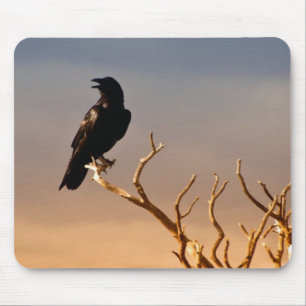 Raven on Sunlit Tree Branches, Grand Canyon Mouse Pad