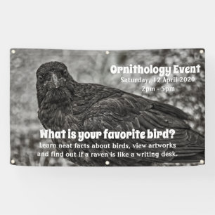 Raven P9239 Banner