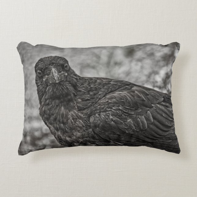 Raven P9239 Decorative Cushion (Front)