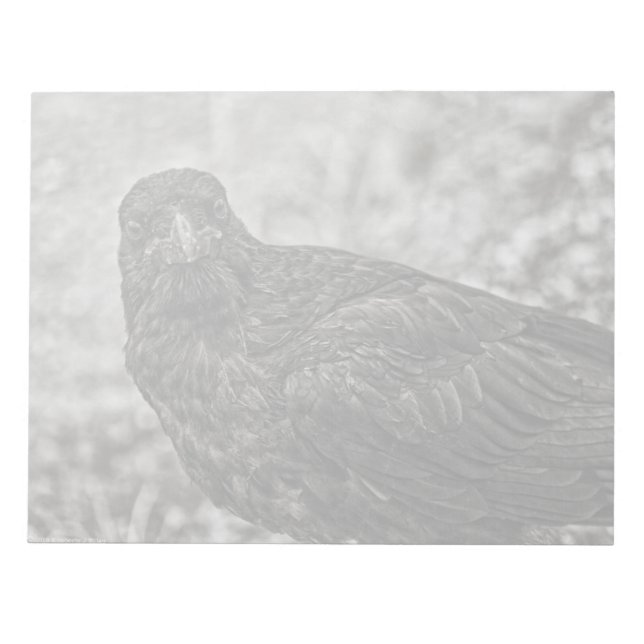 Raven P9239 Notepad (Front)