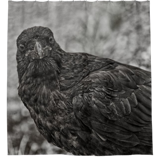 Raven P9239 Shower Curtain (Front)