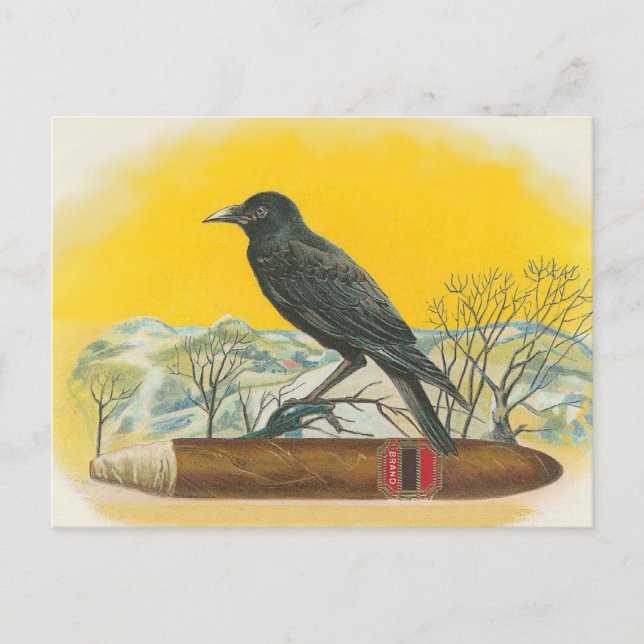 Raven Postcard (Front)