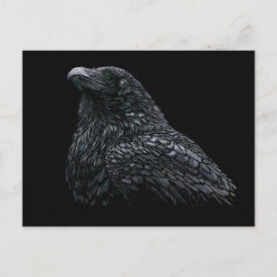 Raven Postcard