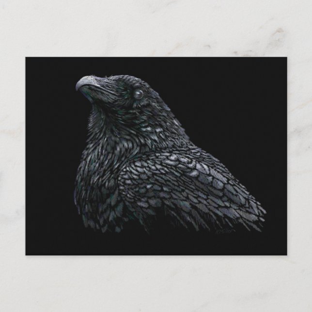 Raven Postcard (Front)