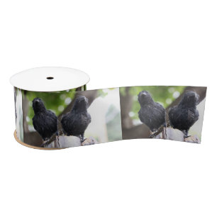 Raven ribbon satin ribbon