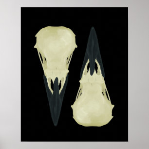 Raven Skulls Poster