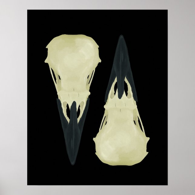 Raven Skulls Poster (Front)