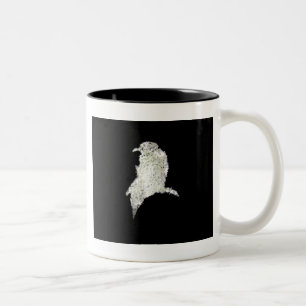 Raven Two-Tone Coffee Mug
