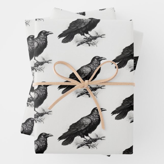 Raven Vintage Illustration Wrapping Paper Sheet (In situ)