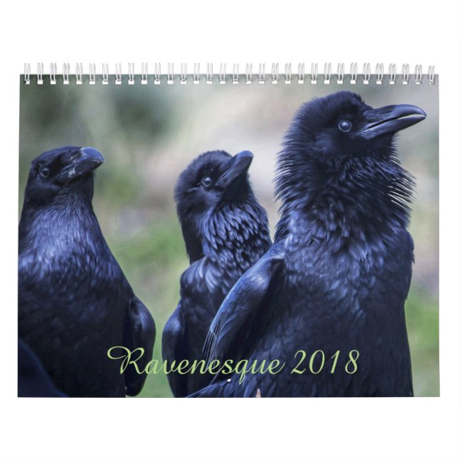 Ravenesque magical Bird 2018 18 month calendar (Cover)