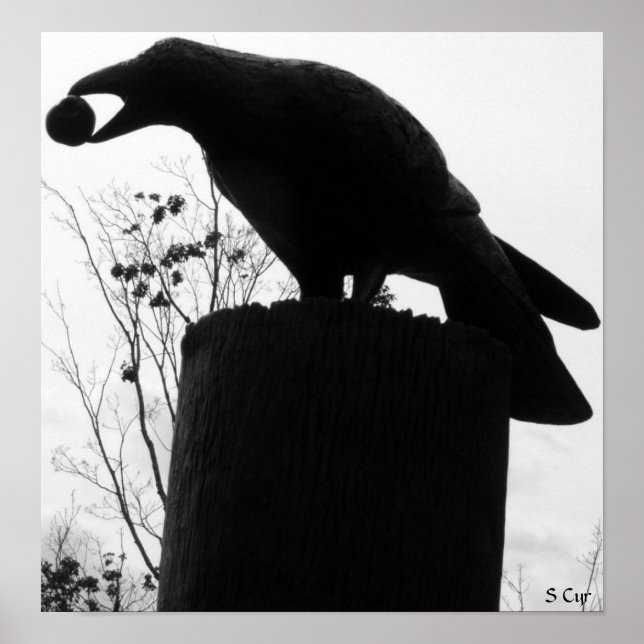 Raven's Bite, S Cyr Poster (Front)