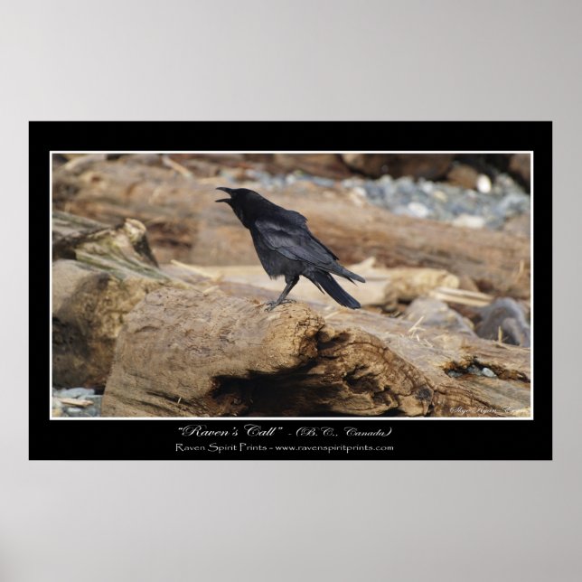"RAVEN'S CALL" Photo Print (Front)