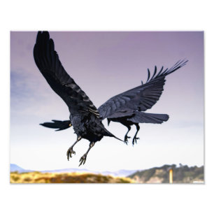 Raven's in flight together photo print