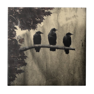 Ravens Perched Ceramic Tile