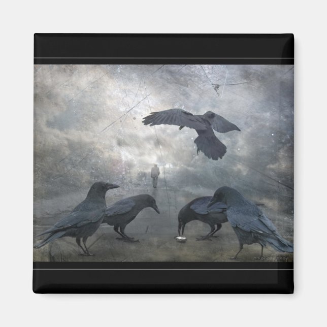 Ravens play with lost Time Magnet (Front)