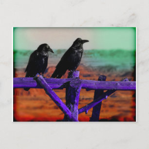 Ravens Postcard