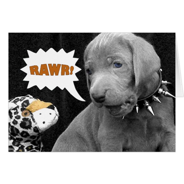 RAWR (Front Horizontal)