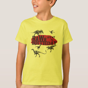 Rawr Dinosaur Birthday Shirt