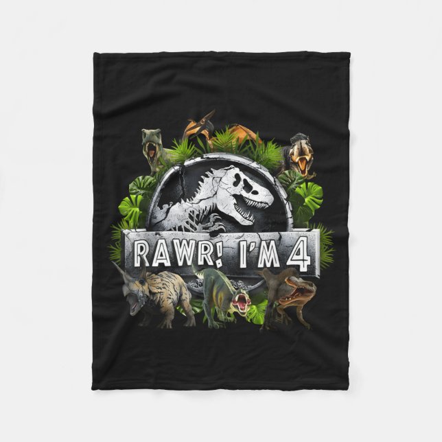 Rawr I'm 4 4th Birthday T Rex Dinosaur Funny Party Fleece Blanket (Front)