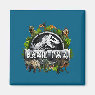 Rawr I'm 4 4th Birthday T Rex Dinosaur Funny Party Magnet