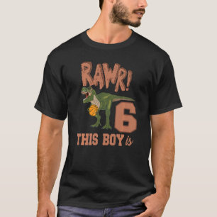 Rawr This Boy Is 6 Dinosaur 6th Birthday Rex Baske T-Shirt