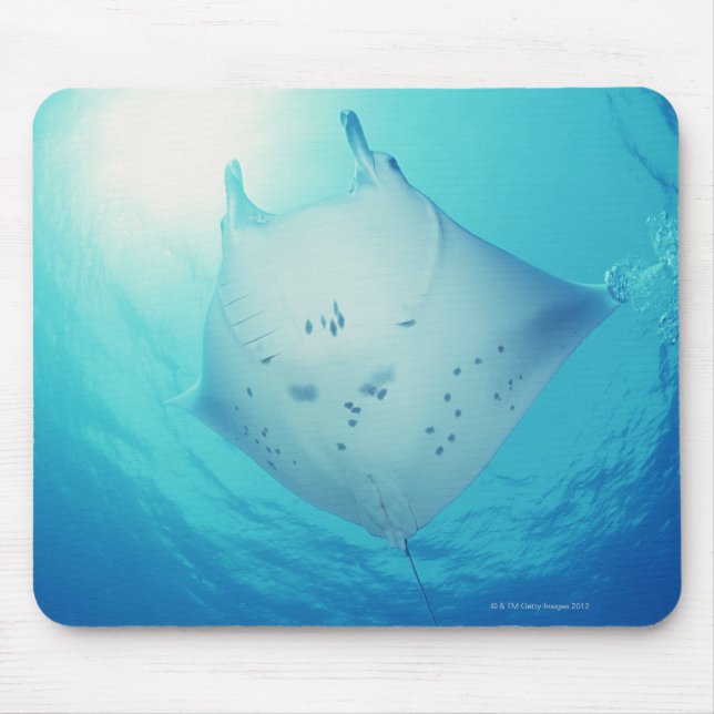 Ray Mouse Pad (Front)