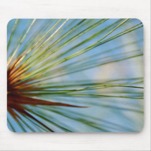 Ray of Grass Mousepad