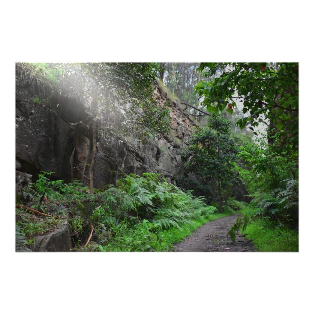 Ray of Light Photo Print (Front)