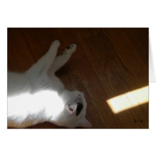 Ray of Light, S Cyr