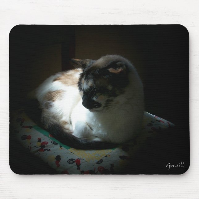 Ray of Sun Napping Kitty Mouse Pad (Front)