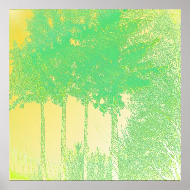 Rays of Hope 3 Trees Print (Front)