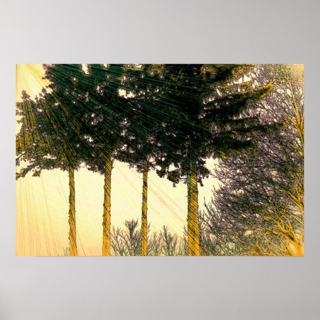 Rays of Hope Poster (Front)