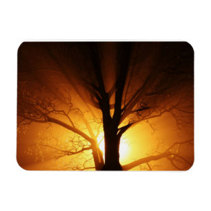 Rays of Light Premium Magnet