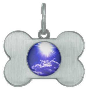 RAYS OF SUNSHINE PET TAG