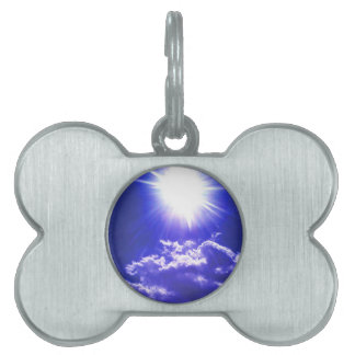 RAYS OF SUNSHINE PET TAG