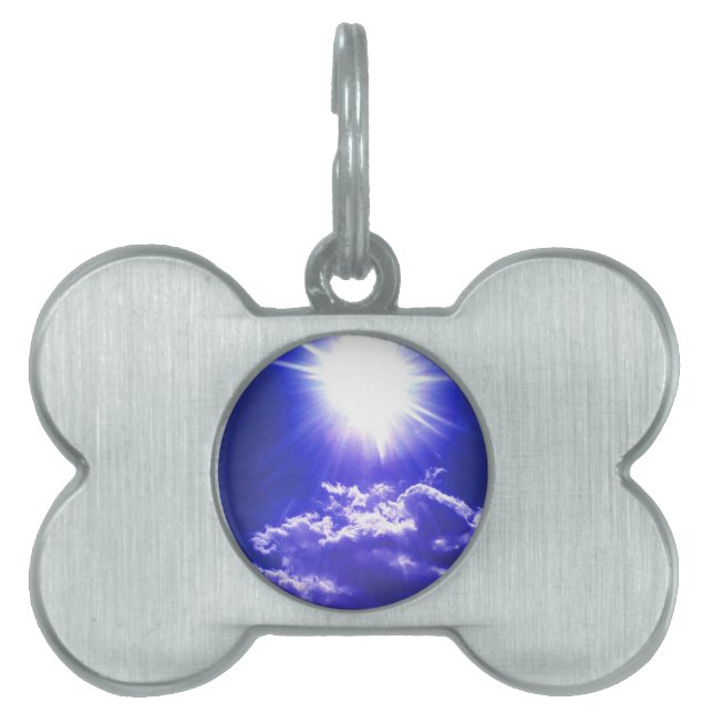 RAYS OF SUNSHINE PET TAG (Front)