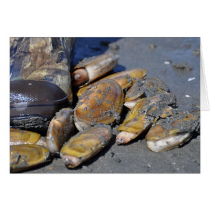 Razor Clams