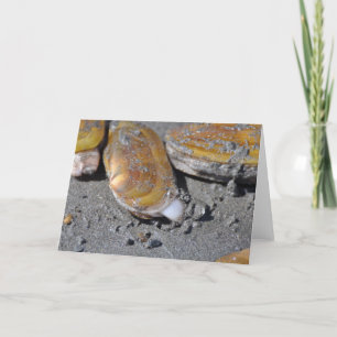 Razor Clams Card