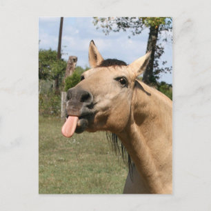 razzberry postcard