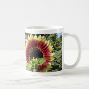 Razzmatazz Sunflower Coffee Mug