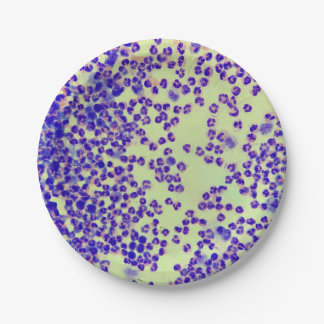 rbcs wbcs slide lab microscope hematology paper plate