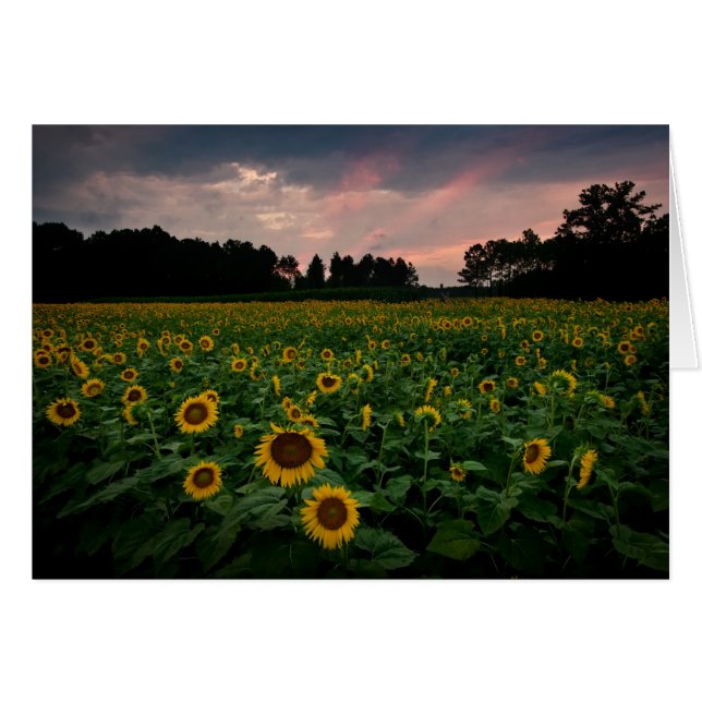 RCD_6002_3_4 (Front Horizontal)