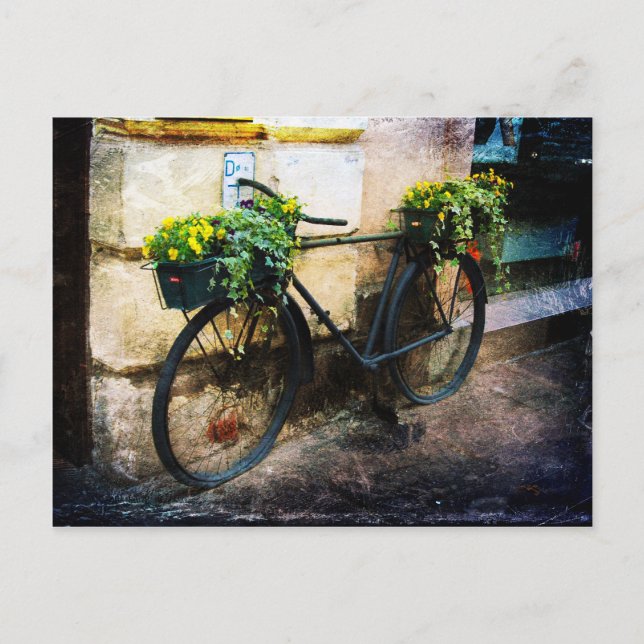 Re-Cycle Postcard (Front)