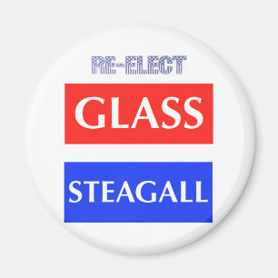 RE-ELECT Glass Steagall Magnet
