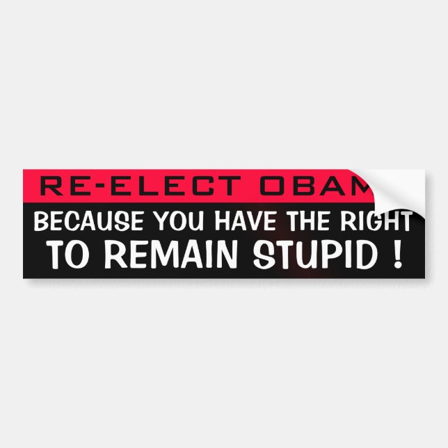 RE-ELECT OBAMA BUMPER STICKER (Front)