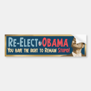 Re-Elect Obama, Stupid! Bumper Sticker
