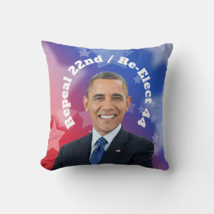 Re-Elect President Obama Cushion