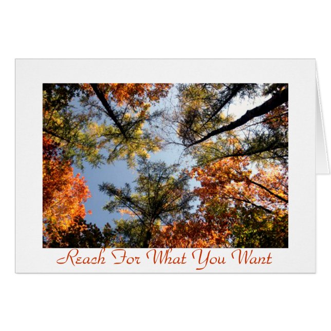 Reach (Front Horizontal)