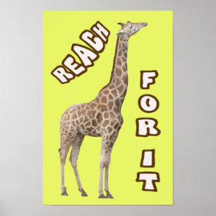 Reach For It Poster